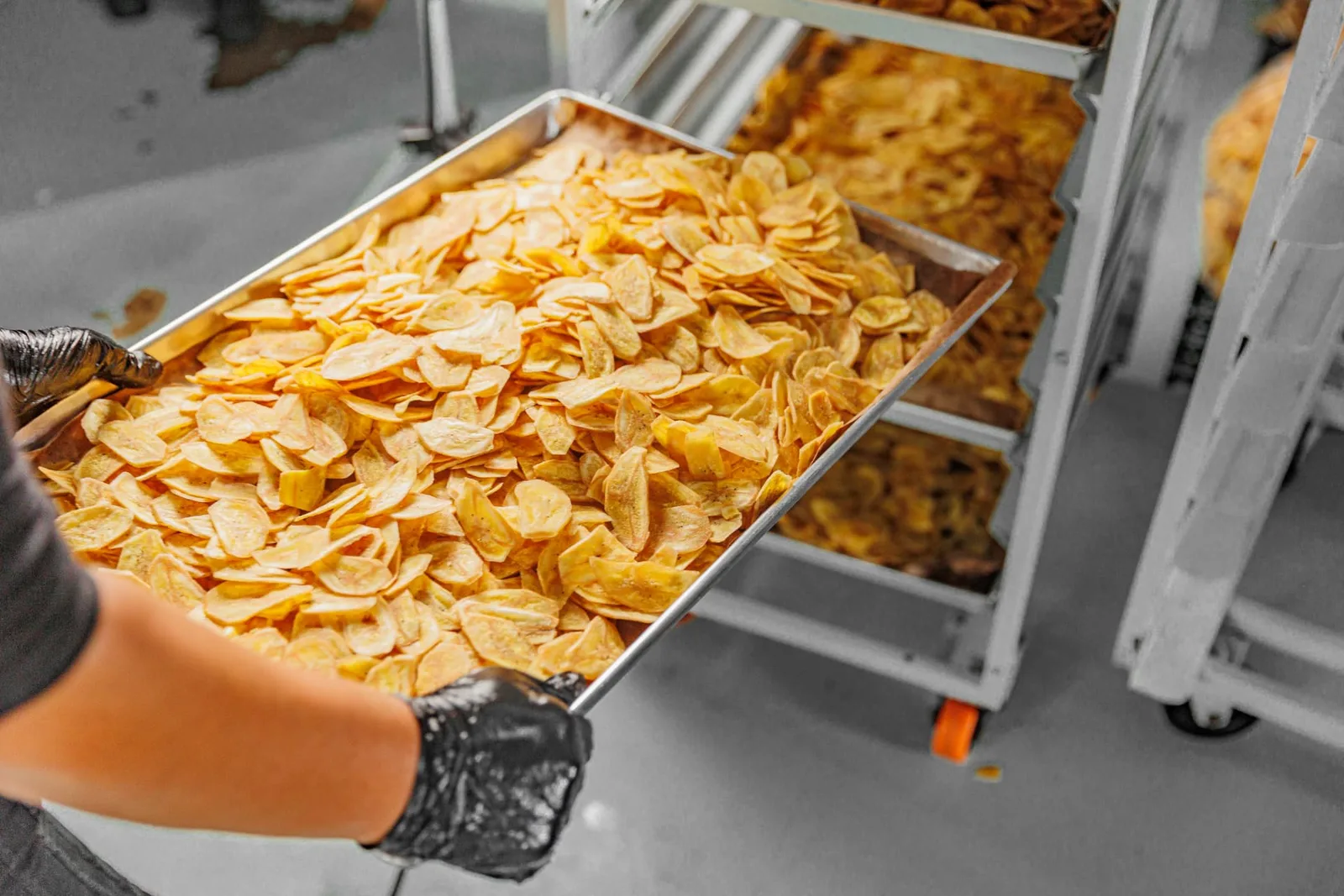 Produção artesanal de banana chips na fábrica Bananinhas