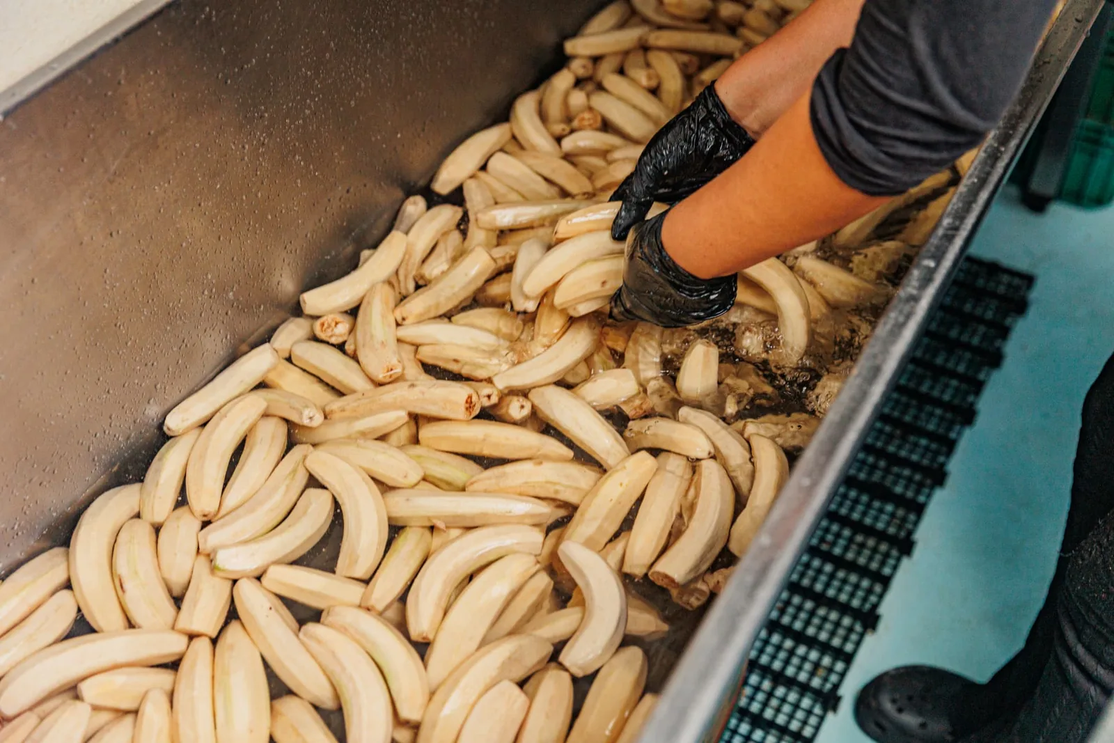 Bananas descascadas e preparadas para a produção